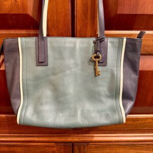Fossil Blue and Green Tote Bag with Structured Design